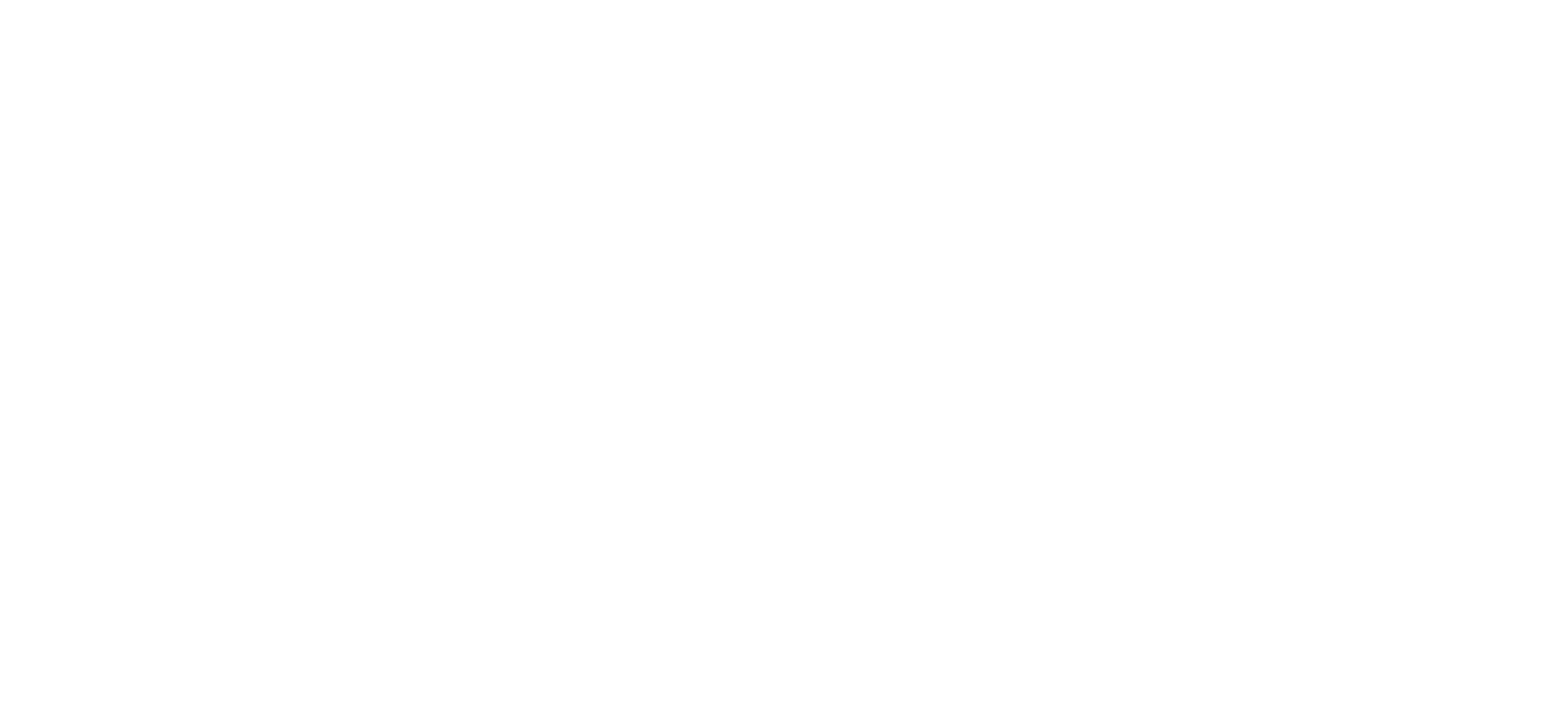 Black Island Studios